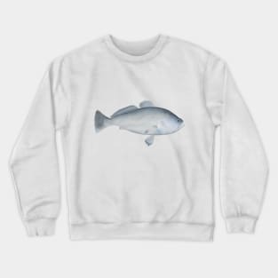 Pacora Crewneck Sweatshirt